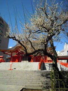 20120319.jpg
