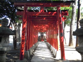 花園神社の連続鳥居