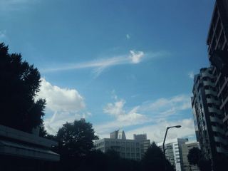 新宿の青空