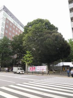 花園神社