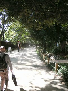 新宿御苑散策路01