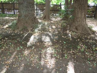 新宿御苑散策路02