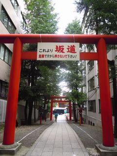 花園神社の鳥居