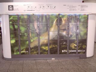 動物の写真で彩られたロッカー
